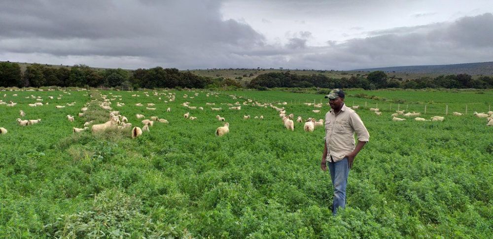 George on the irigation land