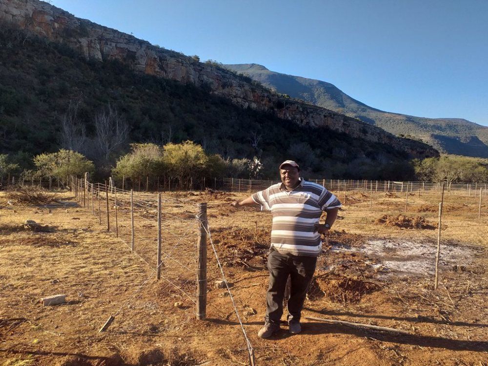 Erecting handling Kraals